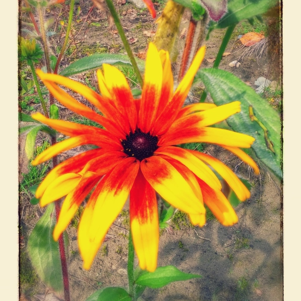 Meet your Posher, Scott